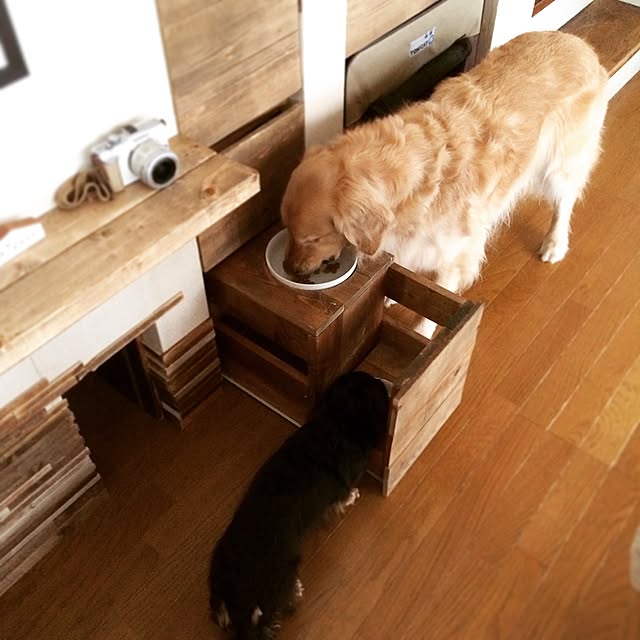 tomowithdogさんの実例写真
