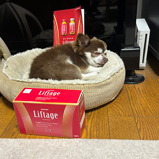 chIoeさんの部屋
