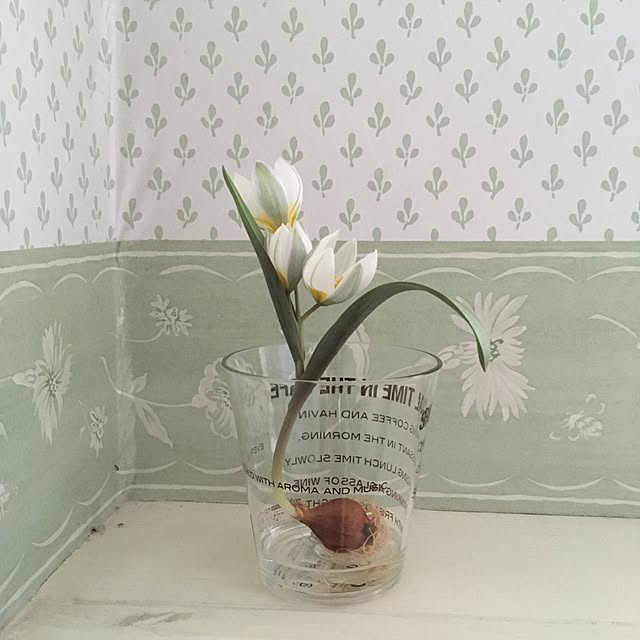 Claraさんの実例写真