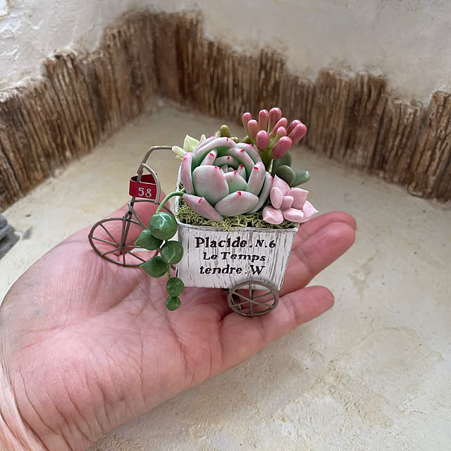 yoko_petitbonheurさんの部屋