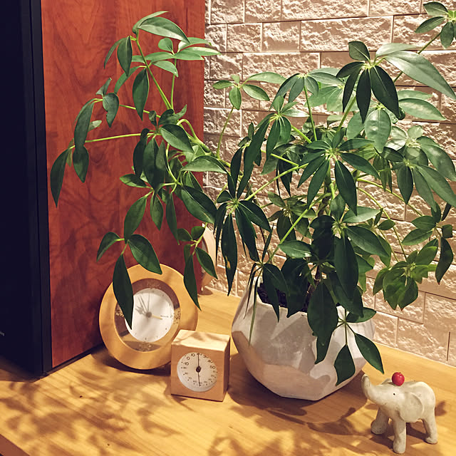 comoさんの実例写真