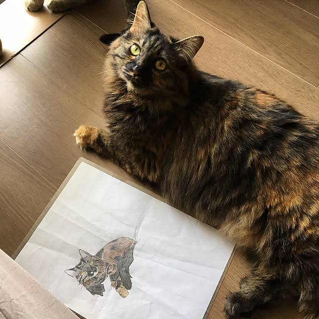 mikomaruさんの実例写真
