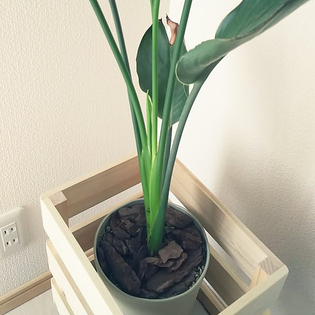 KOHAKUさんの実例写真