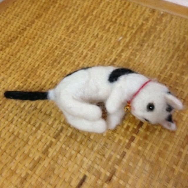 mori_6_12さんの部屋