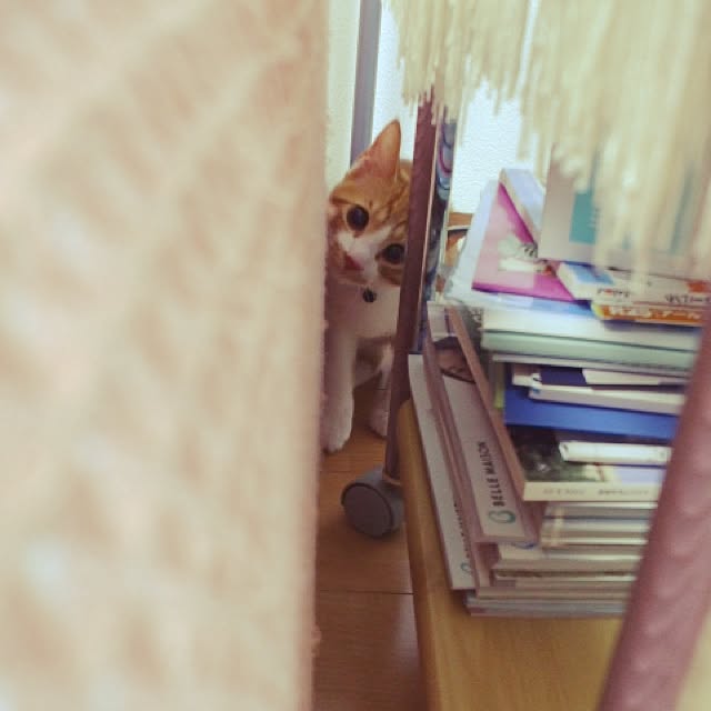 namuさんの実例写真