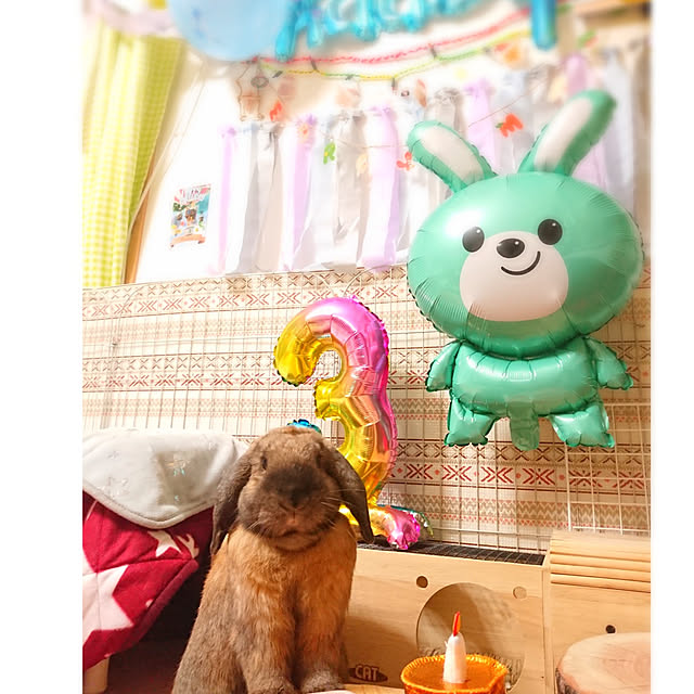 mariaさんの実例写真