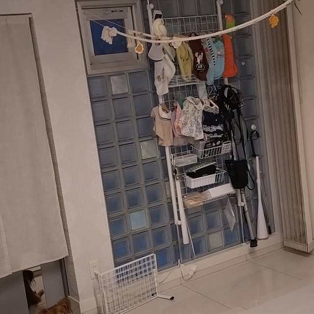 toratanさんの部屋