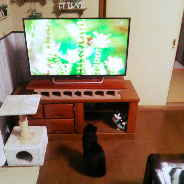 Tomopさんの実例写真