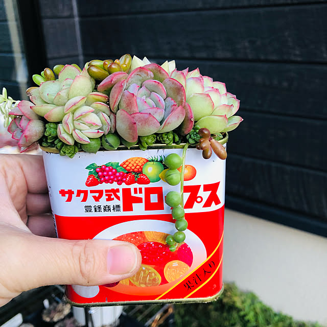実例写真