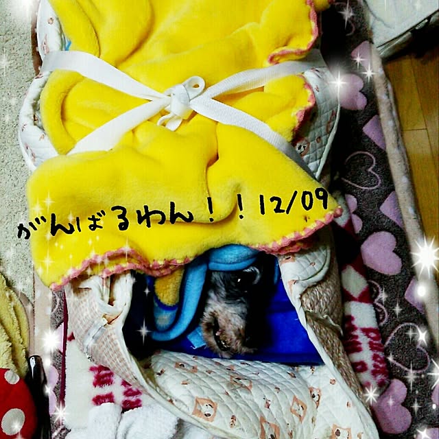 mcomcoさんの実例写真