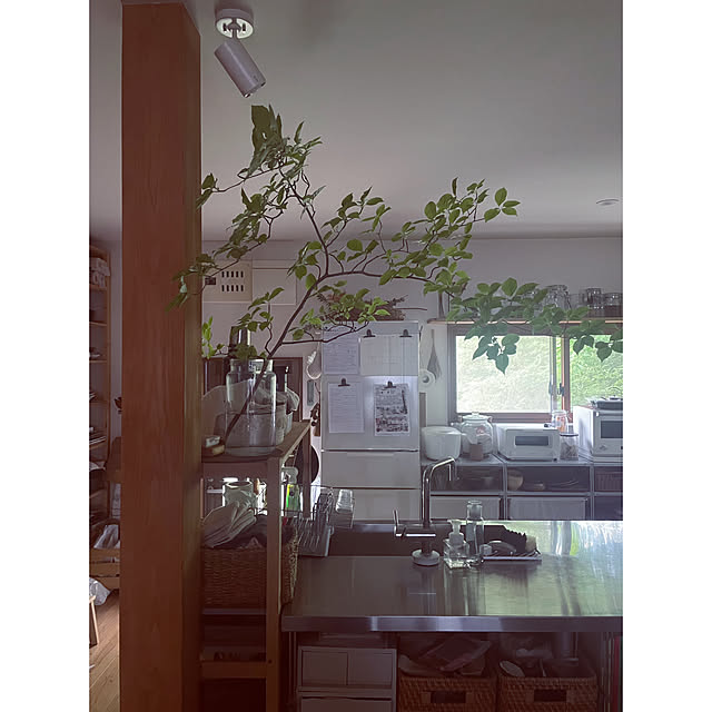 marucoさんの部屋