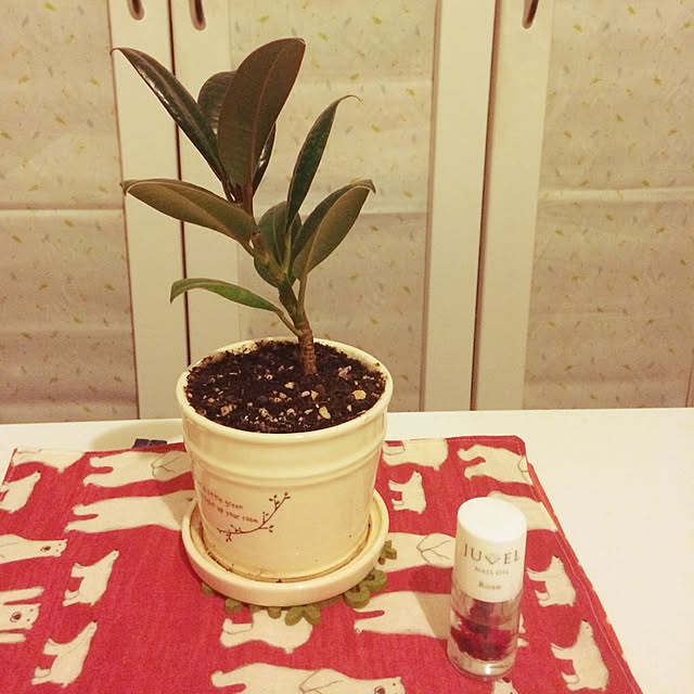 tomonon0812さんの実例写真