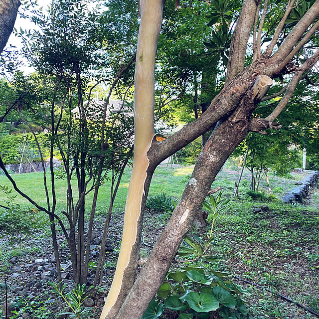 kabu10さんの部屋