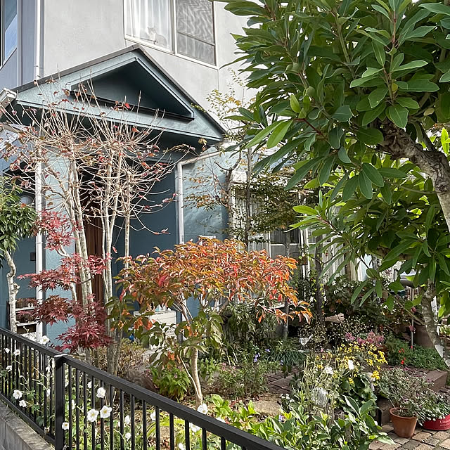 nobikoさんの実例写真