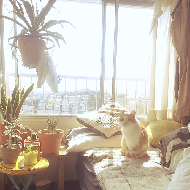 yoshinari_tokuteruさんの実例写真