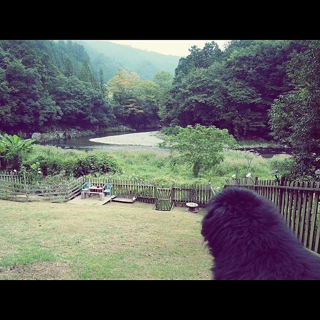 my pet monsterさんの実例写真