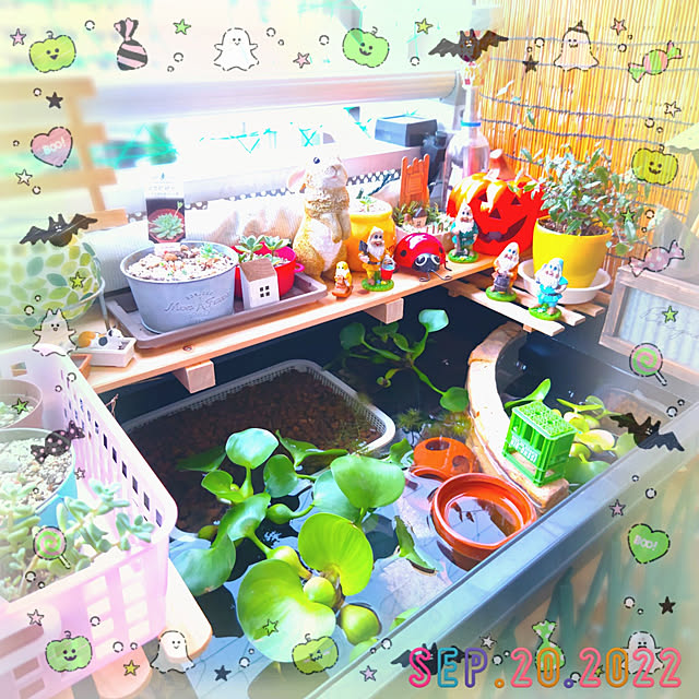 mariaさんの実例写真