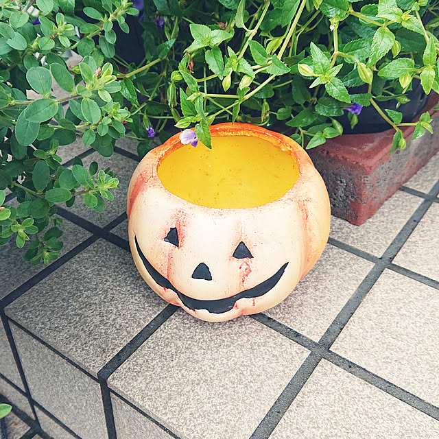 nanさんの実例写真