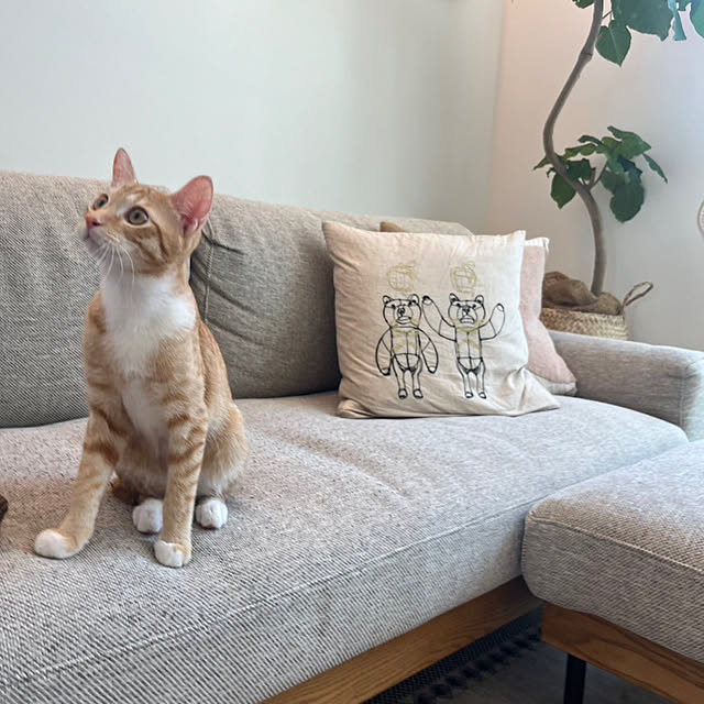 lrikaさんの部屋