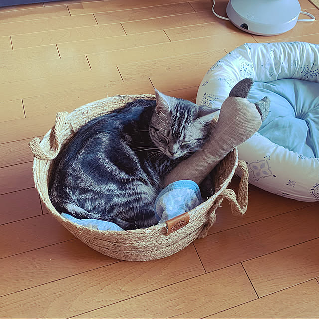 yuzuaoさんの実例写真