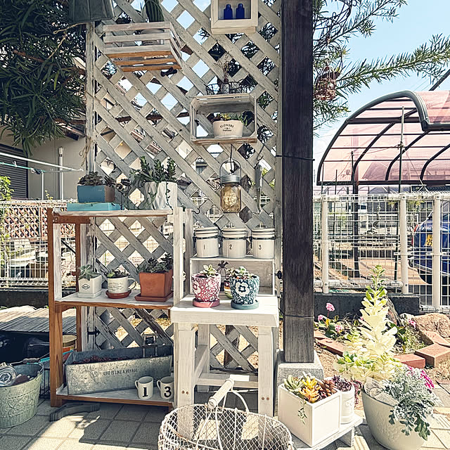 cyaroさんの部屋