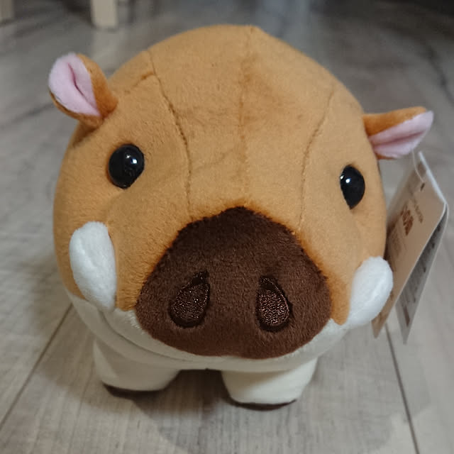 hanakusukuさんの実例写真