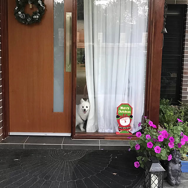 実例写真