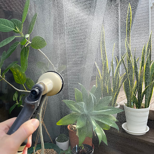 au_meanさんの実例写真