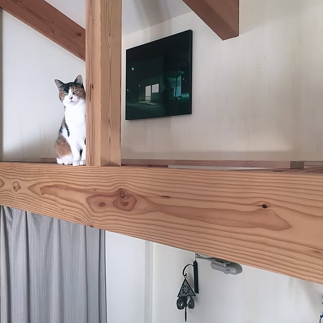 mohayaeteさんの実例写真