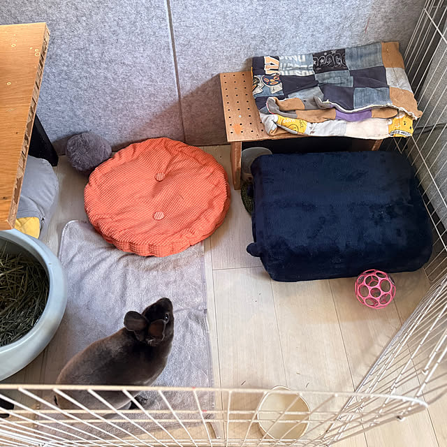 yumiffyさんの実例写真