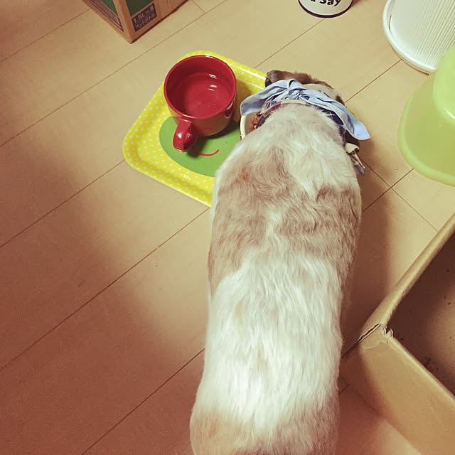 emiさんの実例写真