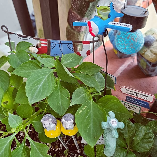 mocomocoさんの部屋
