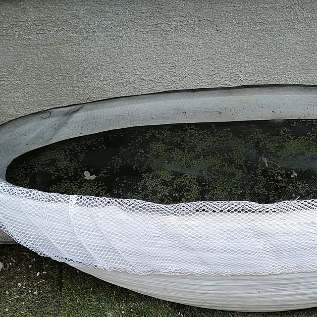 mori_6_12さんの実例写真
