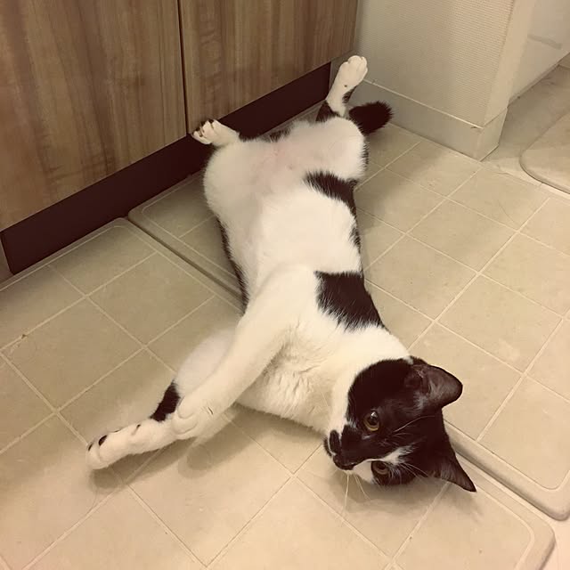mikomaruさんの実例写真