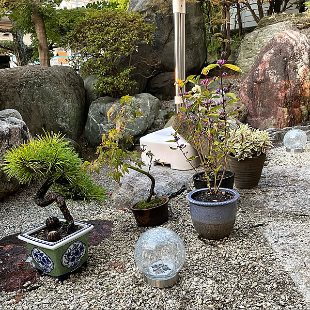 shin0719さんの実例写真