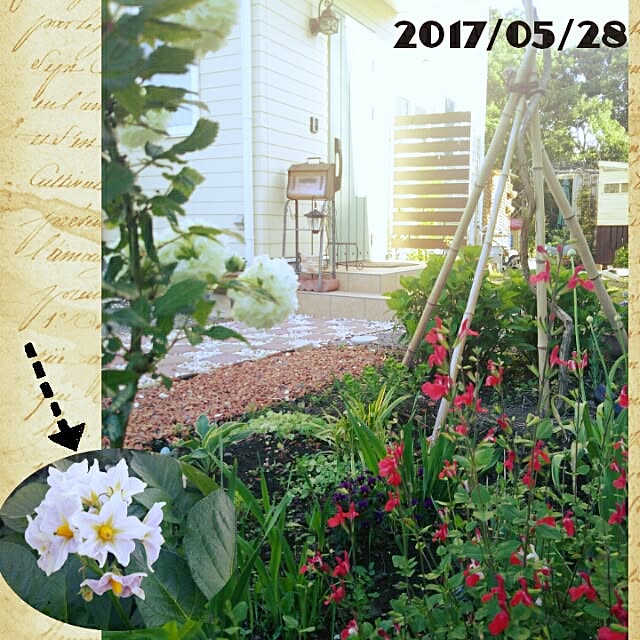 bousuke.215112さんの実例写真