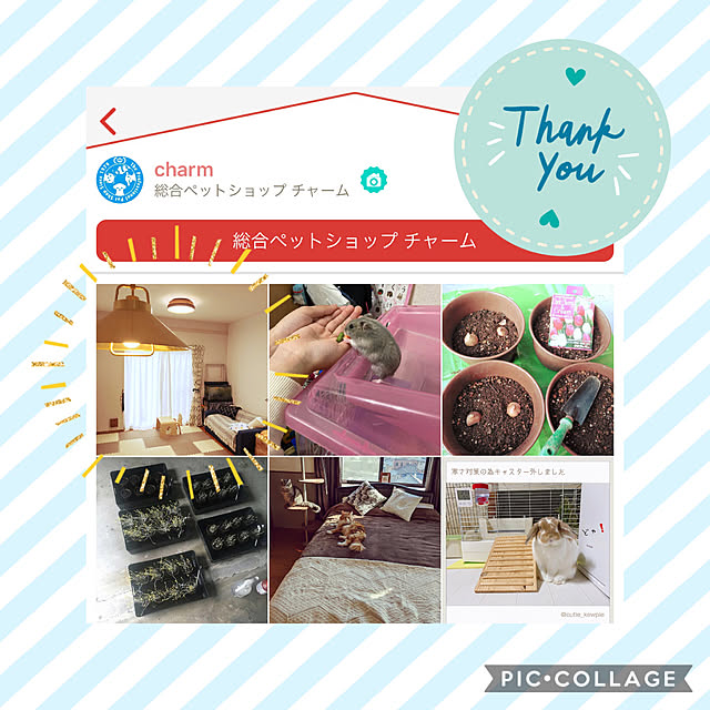 mui.ponchiさんの実例写真