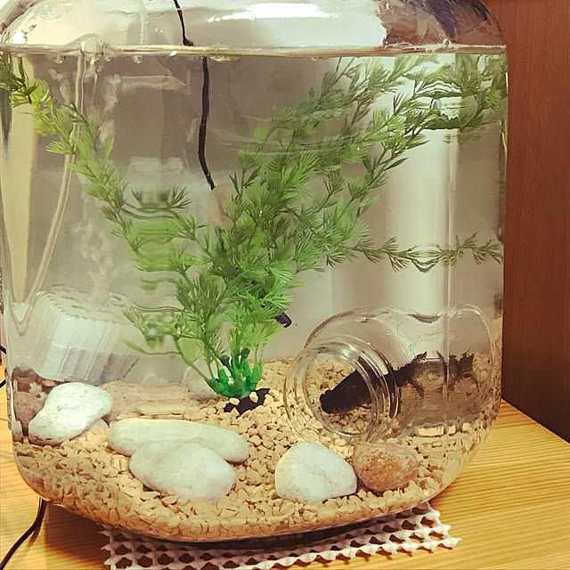 himawari2さんの実例写真