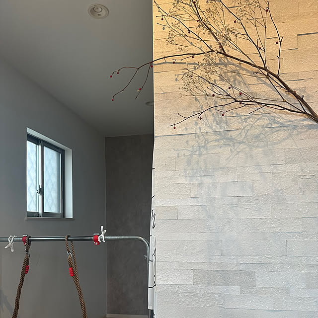 Tarutoさんの部屋