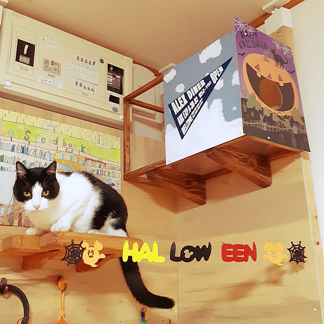 kazumiさんの実例写真