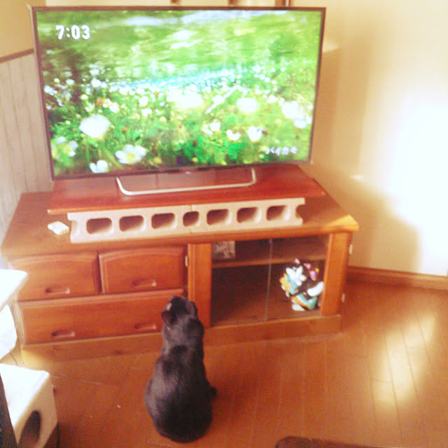 Tomopさんの実例写真