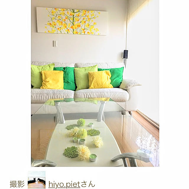 hiyo.pietさんの実例写真