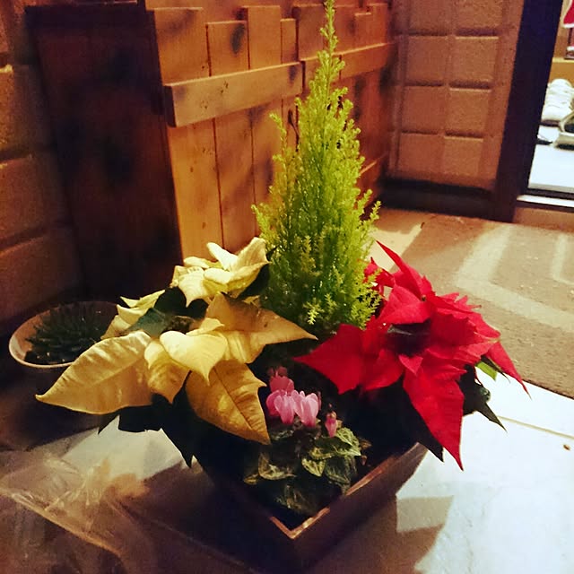 TKEさんの実例写真