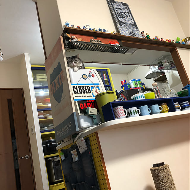 Shojiさんの実例写真