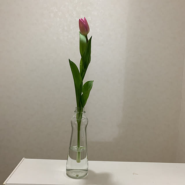 eshinobumさんの実例写真