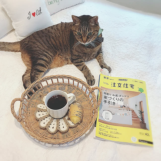 lovecatさんの実例写真