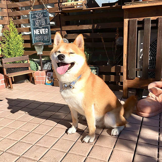 ronmaruさんの実例写真