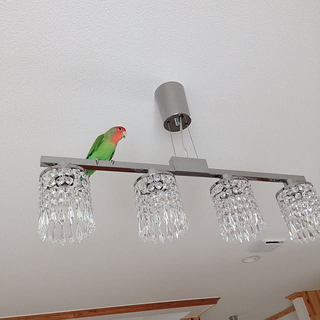 alyssavegeさんの実例写真