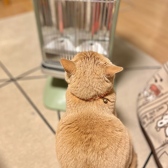 tomoさんの実例写真