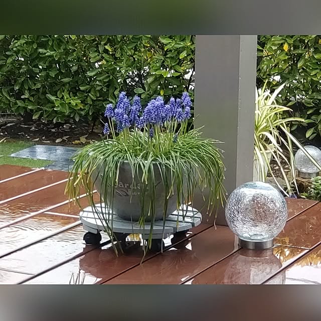 38catさんの実例写真